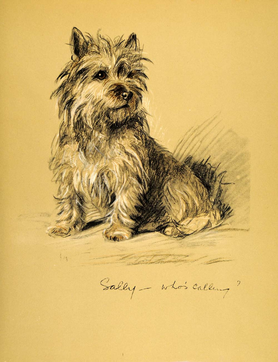 Outlet 1936-Lucy Dawson-Book Plate-Colour Illustration-Drawing-Print-Dog-Border Terrier-Terrier-Vintage-Home decor