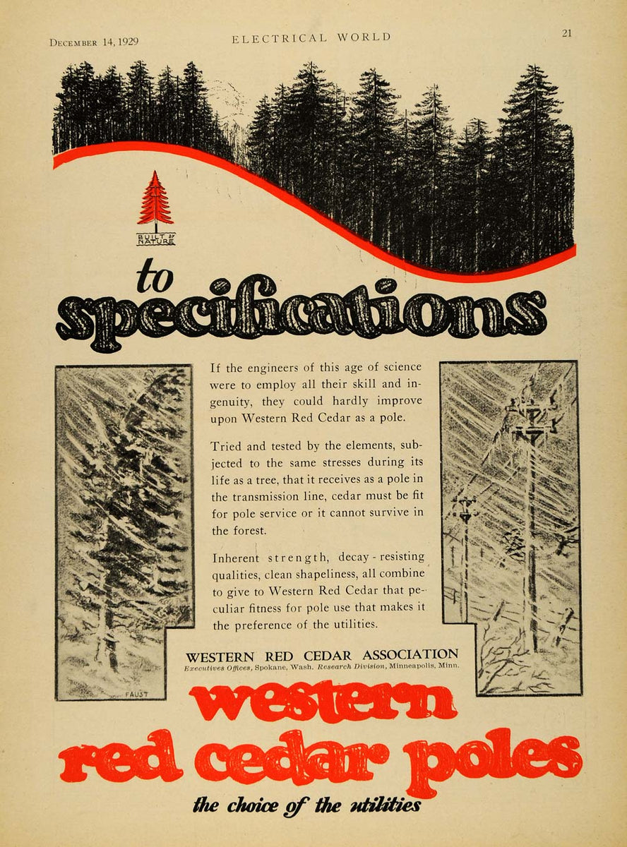 AD Western Red Cedar