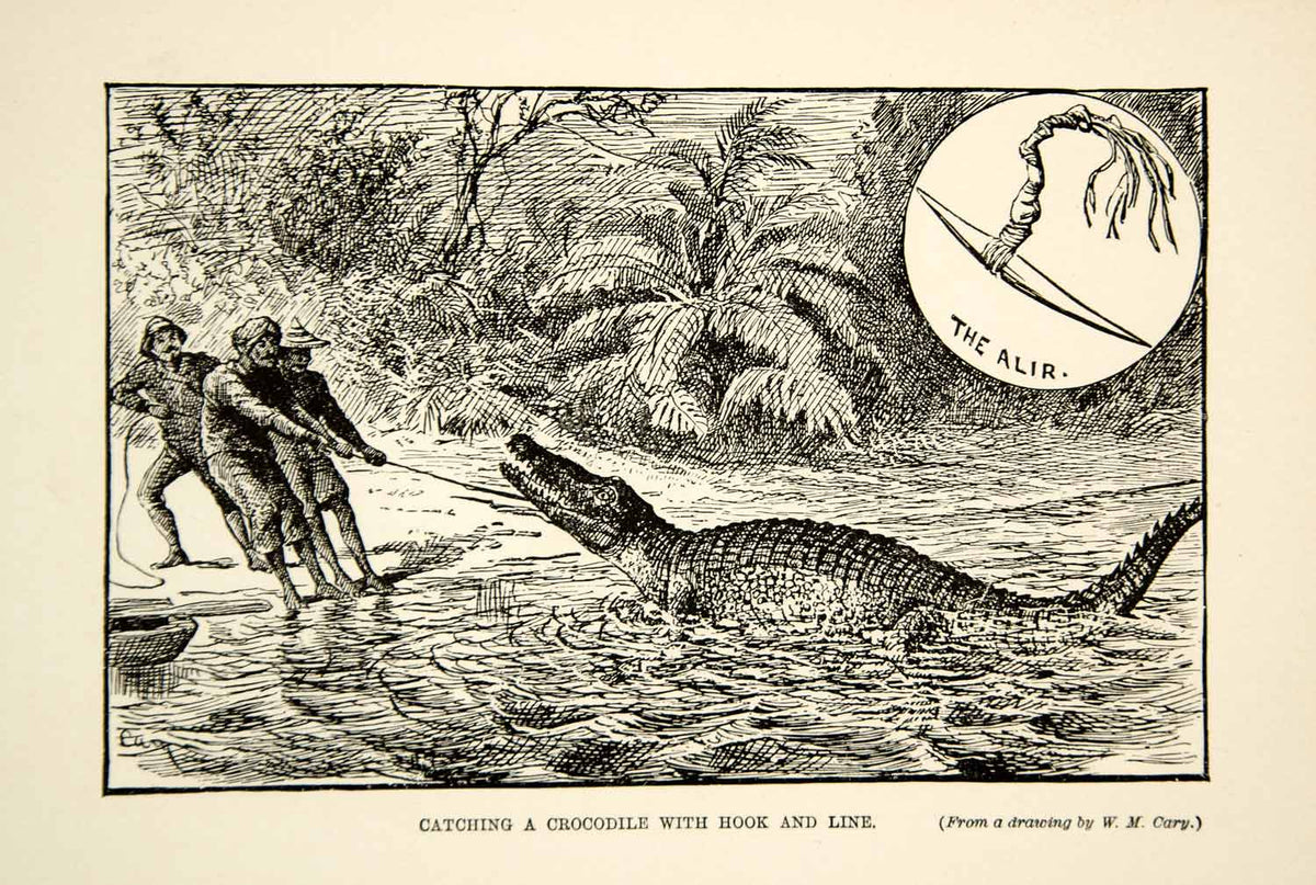 1910 Wood Engraving Crocodile Hunting Malay People Alir Malaysia