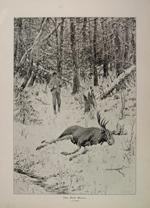 1914 A. B. Frost Hunter Hunting Bull Moose Snow Print ORIGINAL HISTORIC AA1