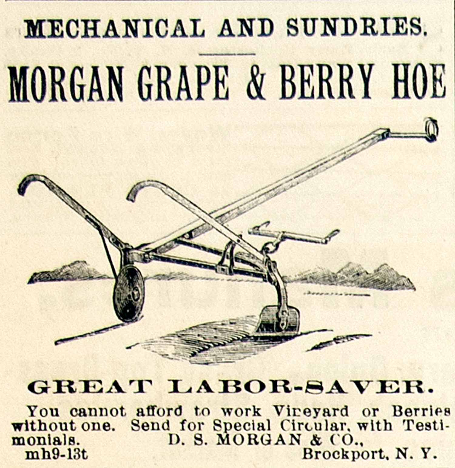 1893 Ad DS Morgan Grape Berry Hoe Farming Tool Machinery Vineyard Brockport CCG1