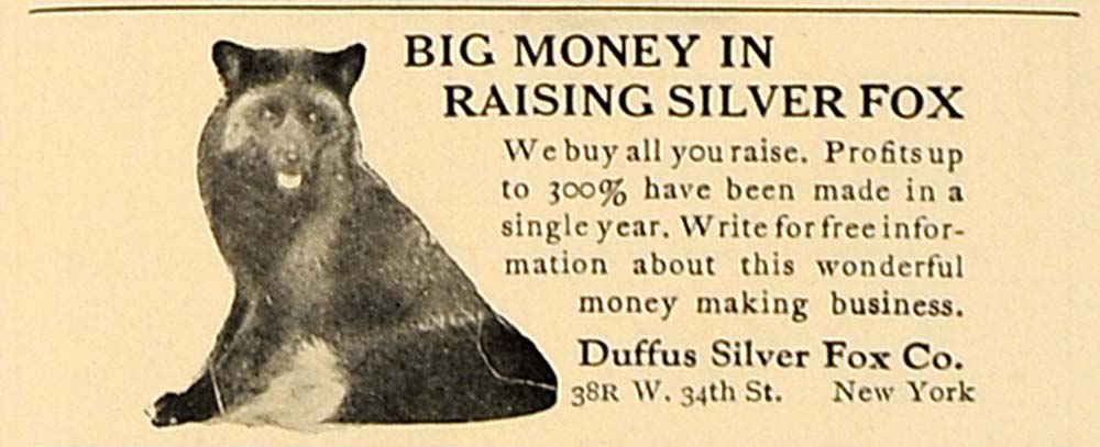 1924 Ad Raising Silver Fox Duffus 38R 34th St. New York - ORIGINAL CL4