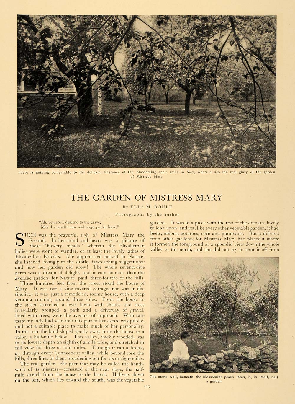 1907 Article Garden Mistress Mary Ella M. Boult Flowers - ORIGINAL CL5