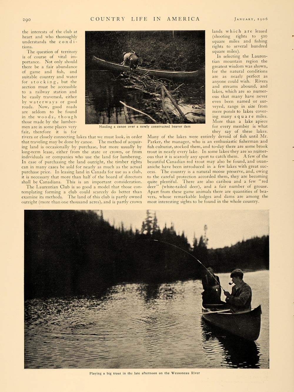 1906 Article Radclyffe Dugmore Wilderness Club Camp - ORIGINAL CL5