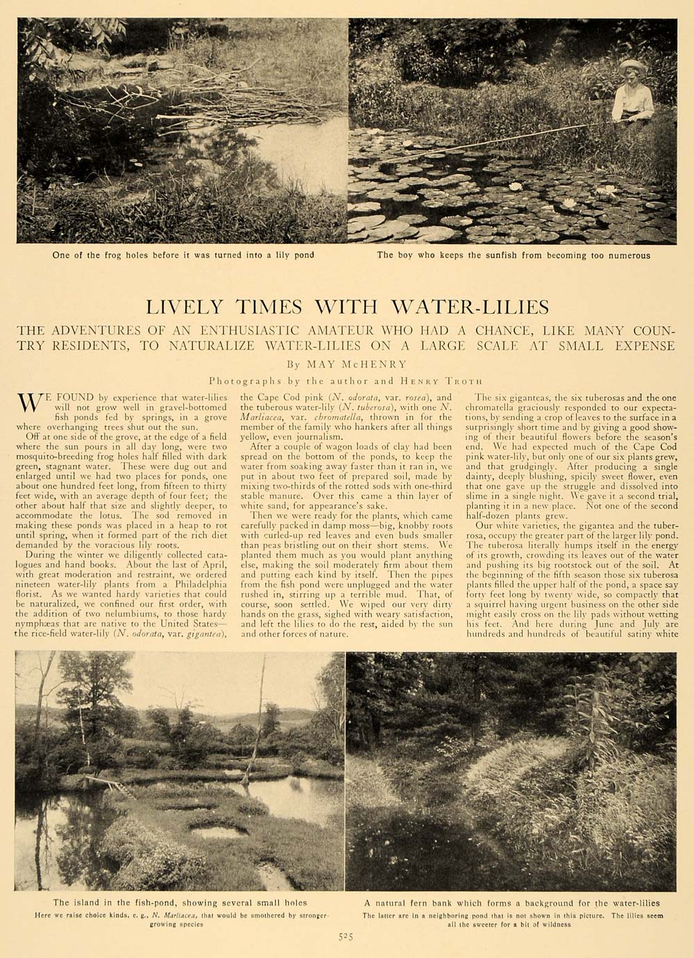 1907 Article Water Lily May McHenry Henry Troth Garden - ORIGINAL CL5