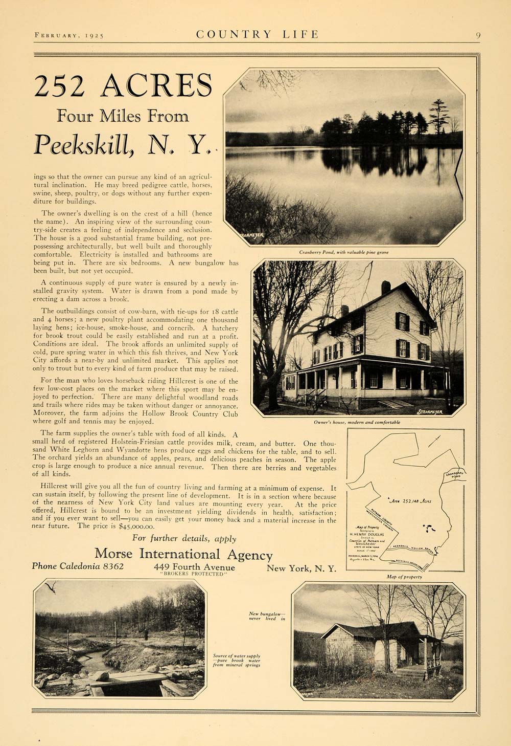 1925 Ad Peekskill NY Morse International Estate Sale - ORIGINAL ADVERTISING CL6