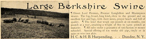 1907 Ad Berkshire Swine H.C. & H.B. Harpending Dundee - ORIGINAL ADVERTISING CL9