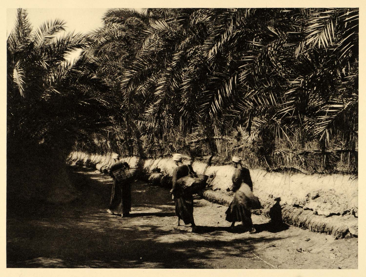 1929 Kharga Oasis Egypt El-Kharga Palm Trees People - ORIGINAL PHOTOGRAVURE EG1