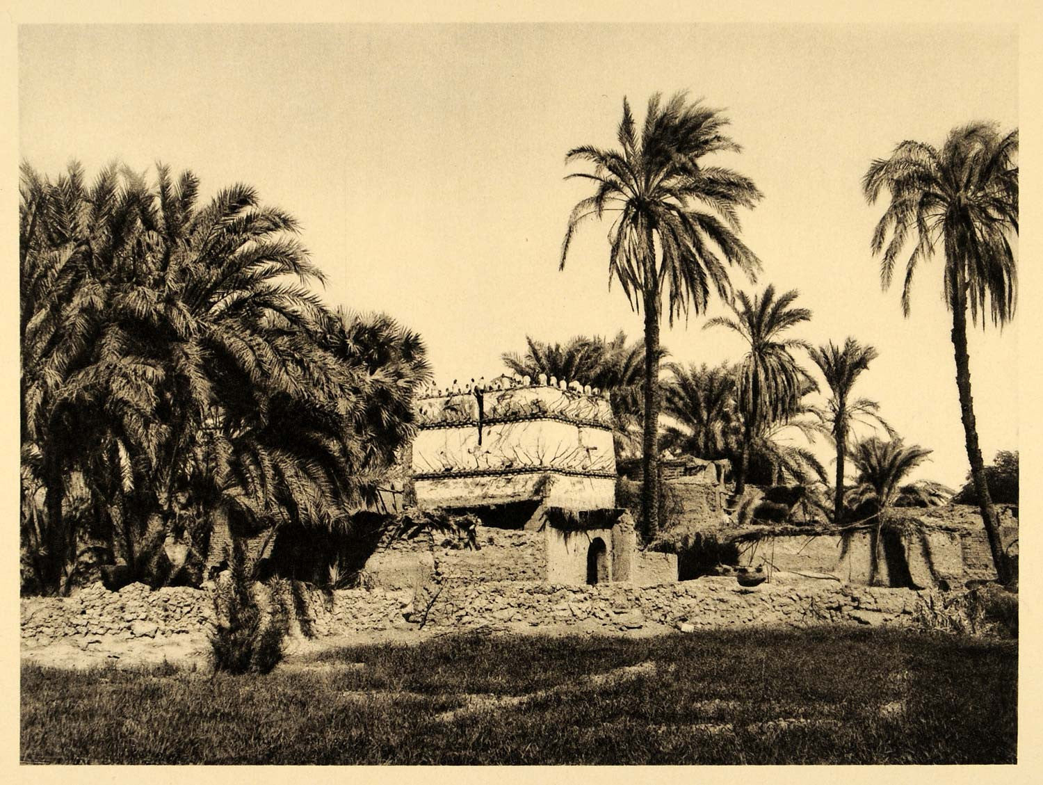 1929 Egypt Thebes Pigeon House Luxor Palm Photogravure - ORIGINAL EG1 ...