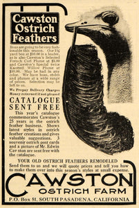 1911 Ad Feather Boas French Plume Cawston Ostrich Farm - ORIGINAL EM1