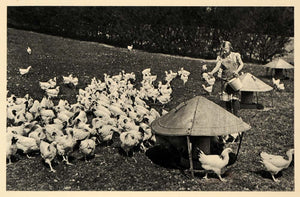 1943 Dansk Honsefarm Danish Chicken Farm Girl Poultry - ORIGINAL EUR1