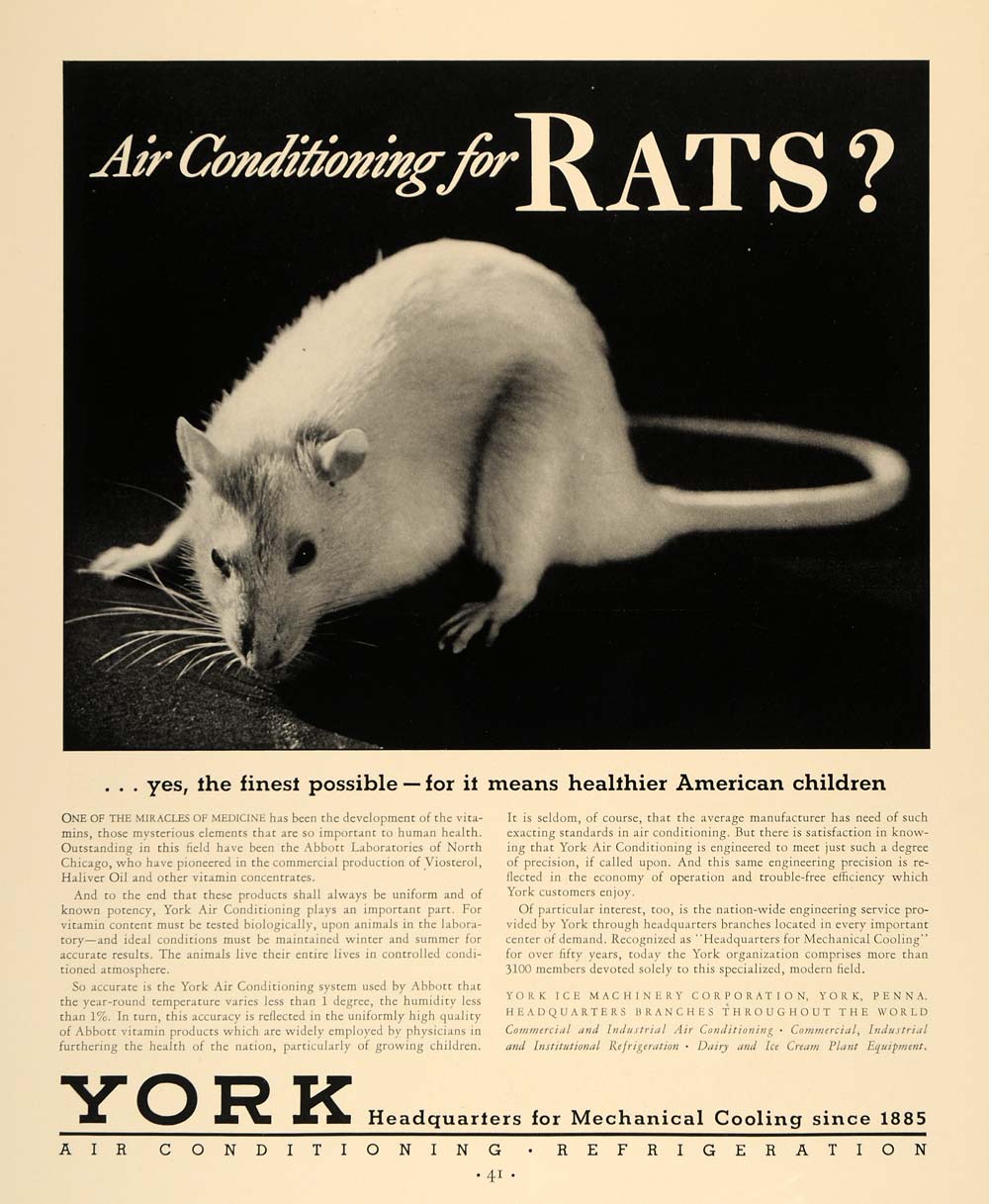 1936 Ad York Ice Machinery Air Conditioning White Rat - ORIGINAL ADVERTISING F6A