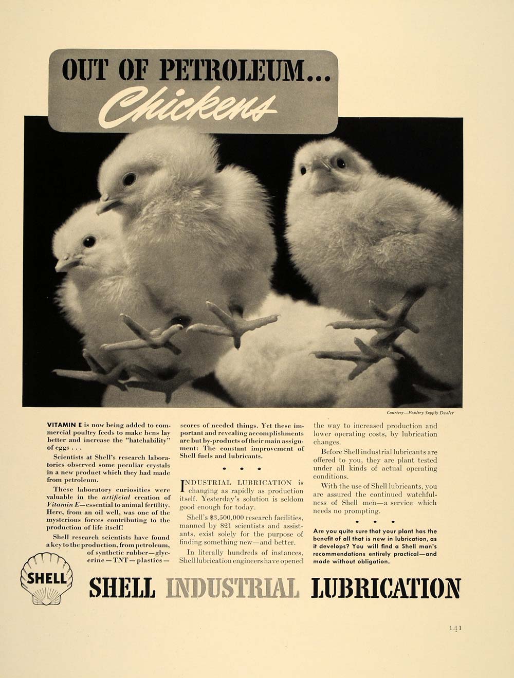 1941 Ad Shell Lubrication Baby Chicks Vitamin E Feed - ORIGINAL ADVERTISING FT8