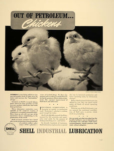 1941 Ad Shell Lubrication Baby Chicks Vitamin E Feed - ORIGINAL ADVERTISING FT8