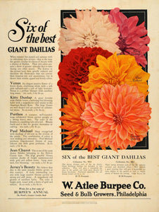 1928 Ad W. Atlee Burpee Seed Flower Bulb Giant Dahlias - ORIGINAL GHB1