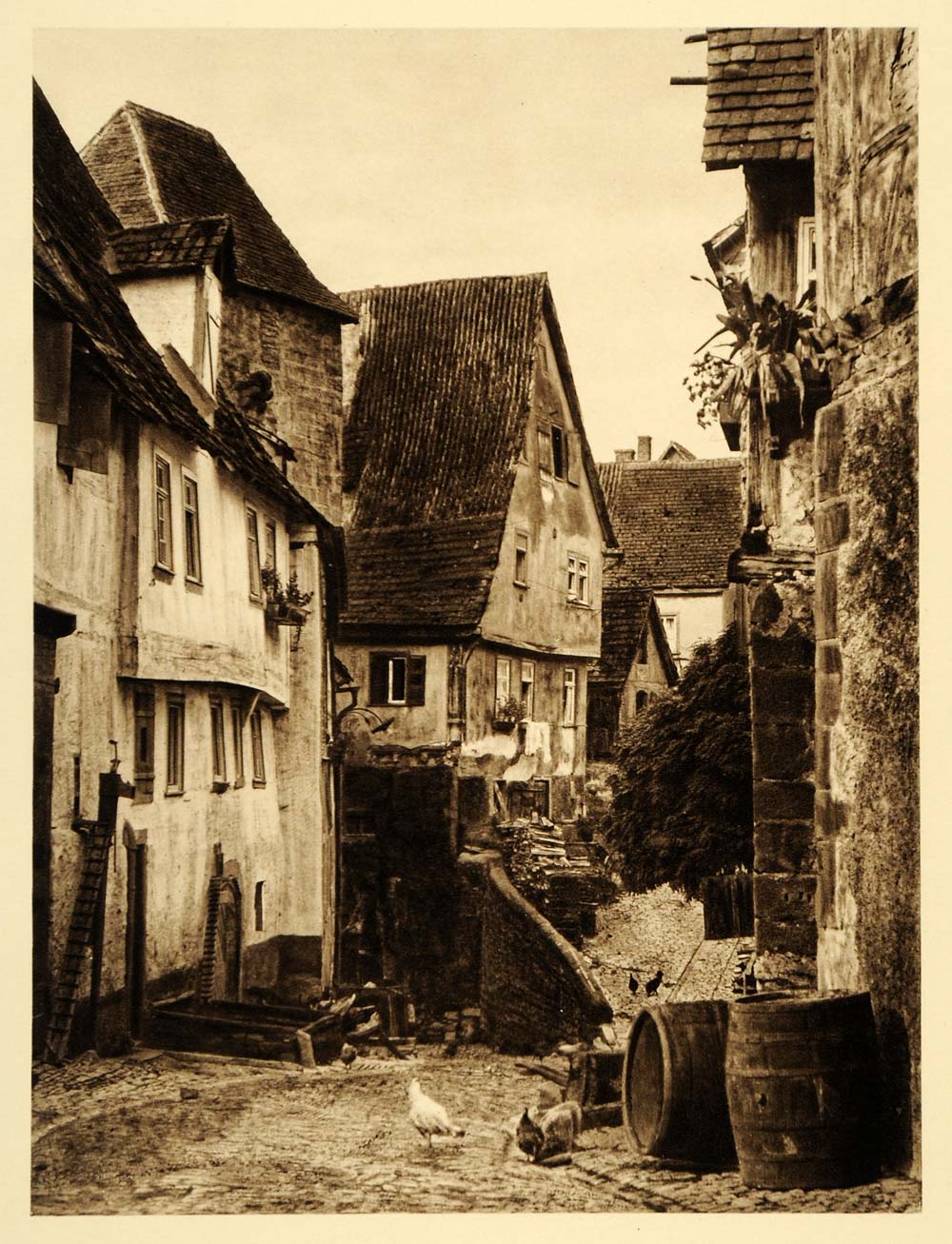 1924 Germany Wimpfen Neckar Staufer Gate Spa Chicken - ORIGINAL PHOTOGRAVURE GR3