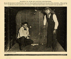 1918 Print Cotton Bales Gassed Boll Weevil Masks Fumes ORIGINAL HISTORIC ILW2
