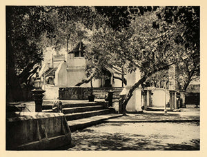 1929 Photogravure Sacred Bo Tree Fig Anuradhapura Sri Lanka Ceylon Buddhism