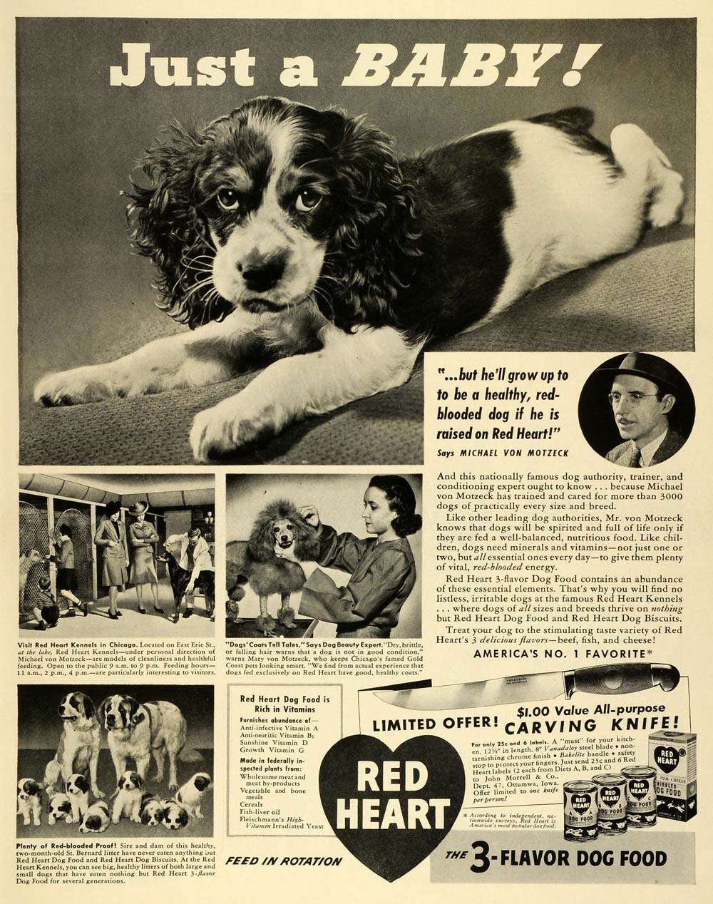 1941 Ad Chicago Red Heart Kennels Dog Food Spaniel Puppy Poodle St Bernard LF5