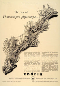 1956 Ad Shell Endrin Pine Processionary Moth Larvae - ORIGINAL ADVERTISING LN1