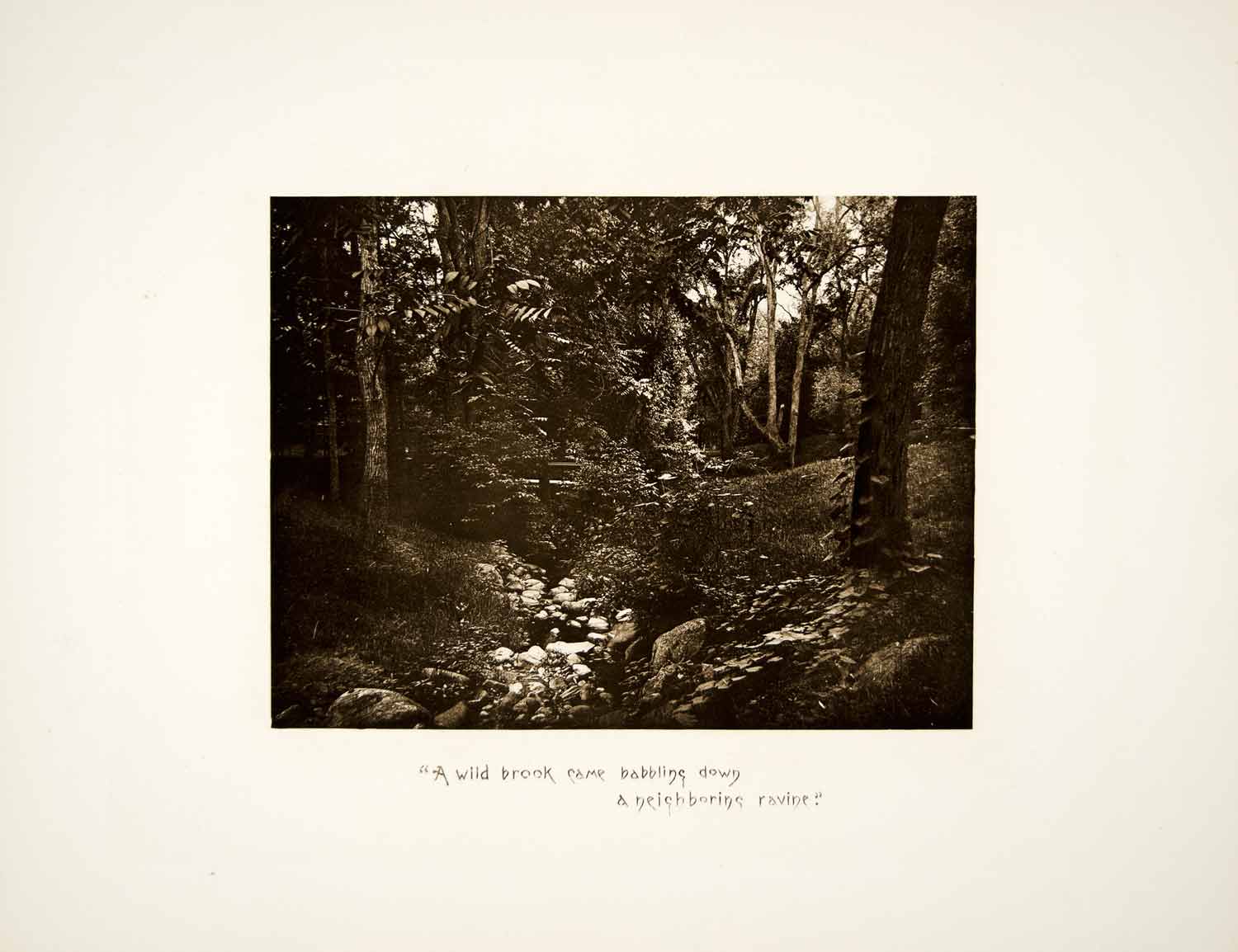 1887 Photogravure Pocantico River Brook Landscape Sleepy Hollow NY Forest LSH1