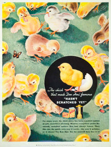 1935 Ad Vintage Bon Ami Cleanser Household Cleaner Baby Chicks Egg Mascot Slogan