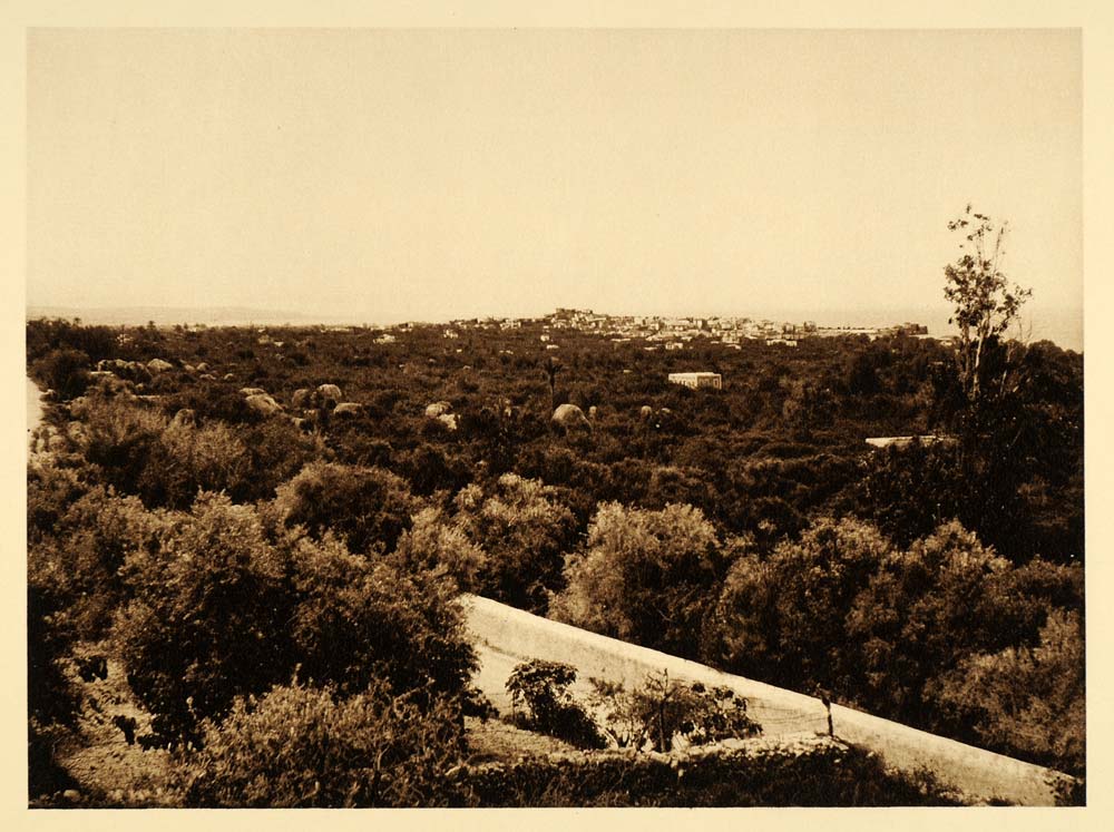 1925 Sidon Saida Lebanon City Landscape Photogravure - ORIGINAL PHOTOGRAVURE PS6