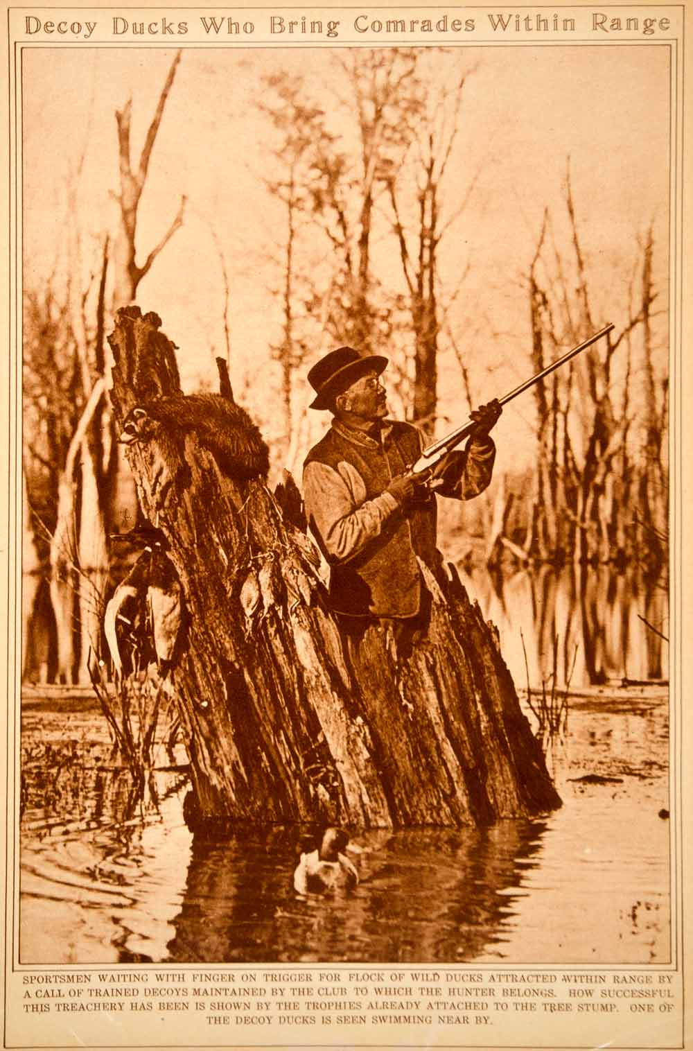 1923 Rotogravure Decoy Duck Hunting Blind Hunter Game Birds Sport Shooting  Gun