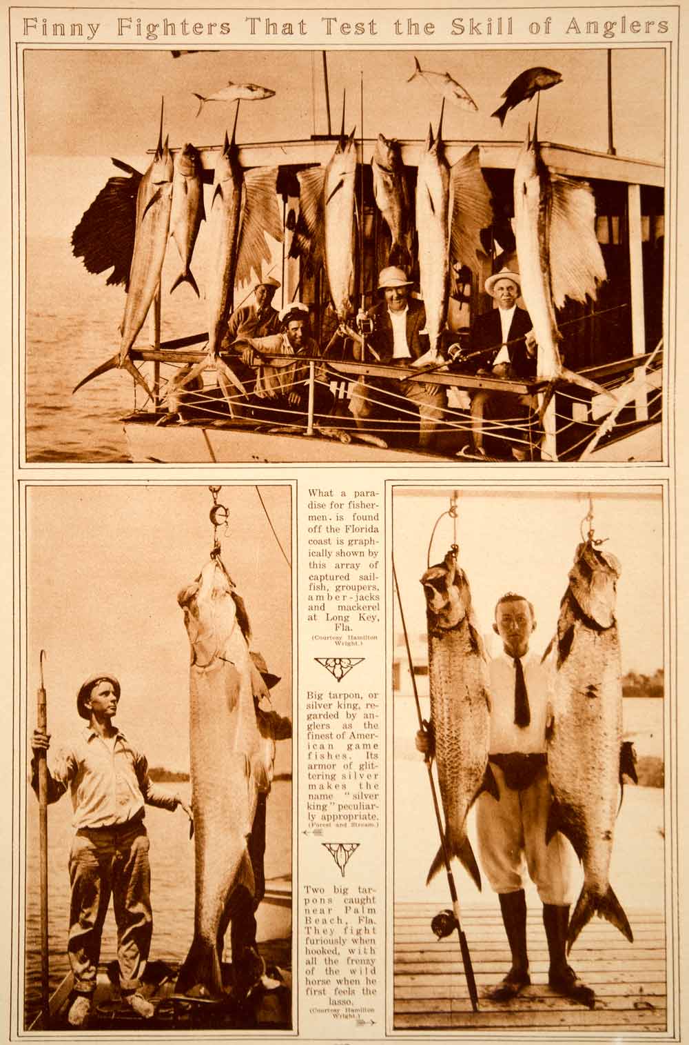1923 Rotogravure Big Game Fishing Florida Tarpon Mackerel