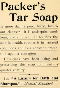 1895 Ad Packer's Sanitary Curative Physician Tar Soap - ORIGINAL TFO1