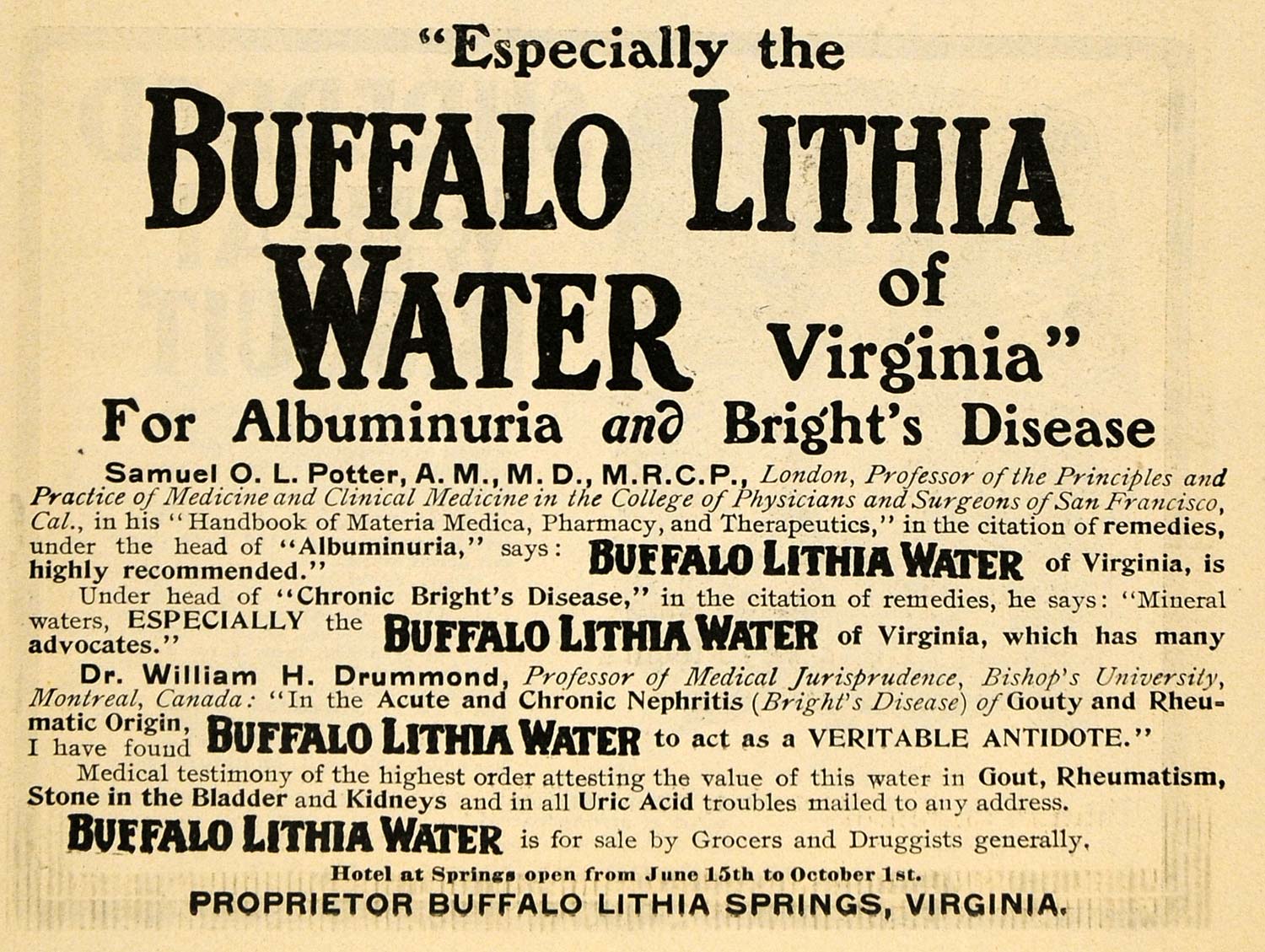 1902 Ad Buffalo Lithia Water Albuminuria Bright Disease - ORIGINAL TOM1