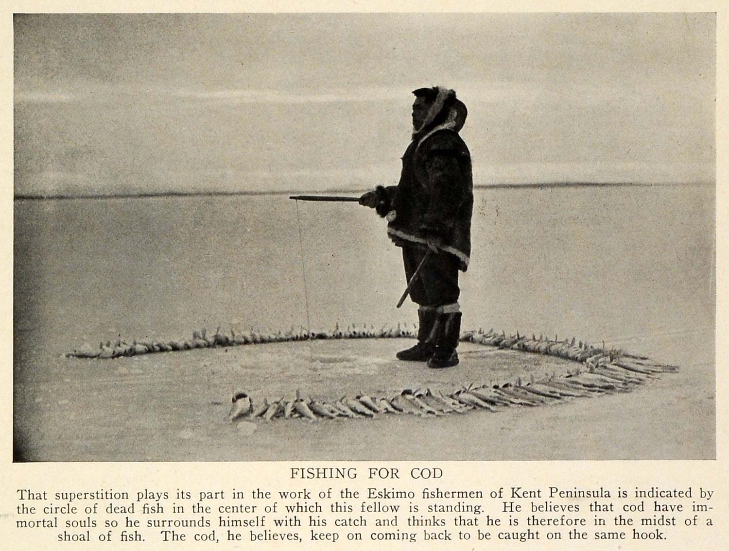 1927 Print Kent Peninsula Canada Eskimo Fisherman Fishing Cod Dead Fish TRV1