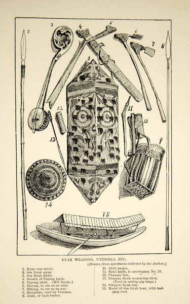 1910 Wood Engraving Dayak Weapons Tools Spear Ax Indigenous