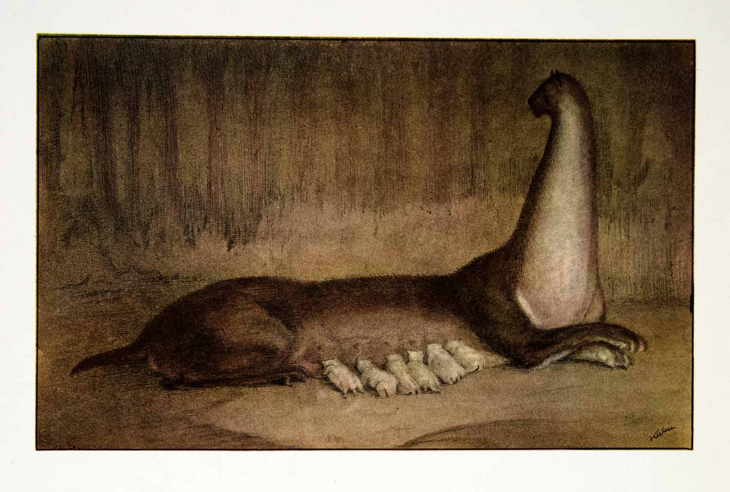 1969 Aquatone Print Alfred Kubin Modern Art Mythical Creature Babies XDG2