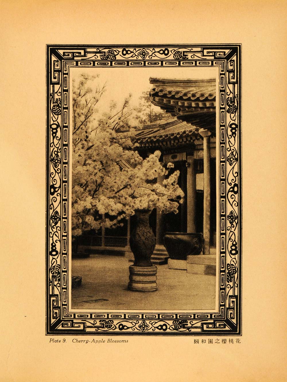 1930 Photogravure Cherry Apple Blossom Court Empress Dowager Summer Palace XGA3