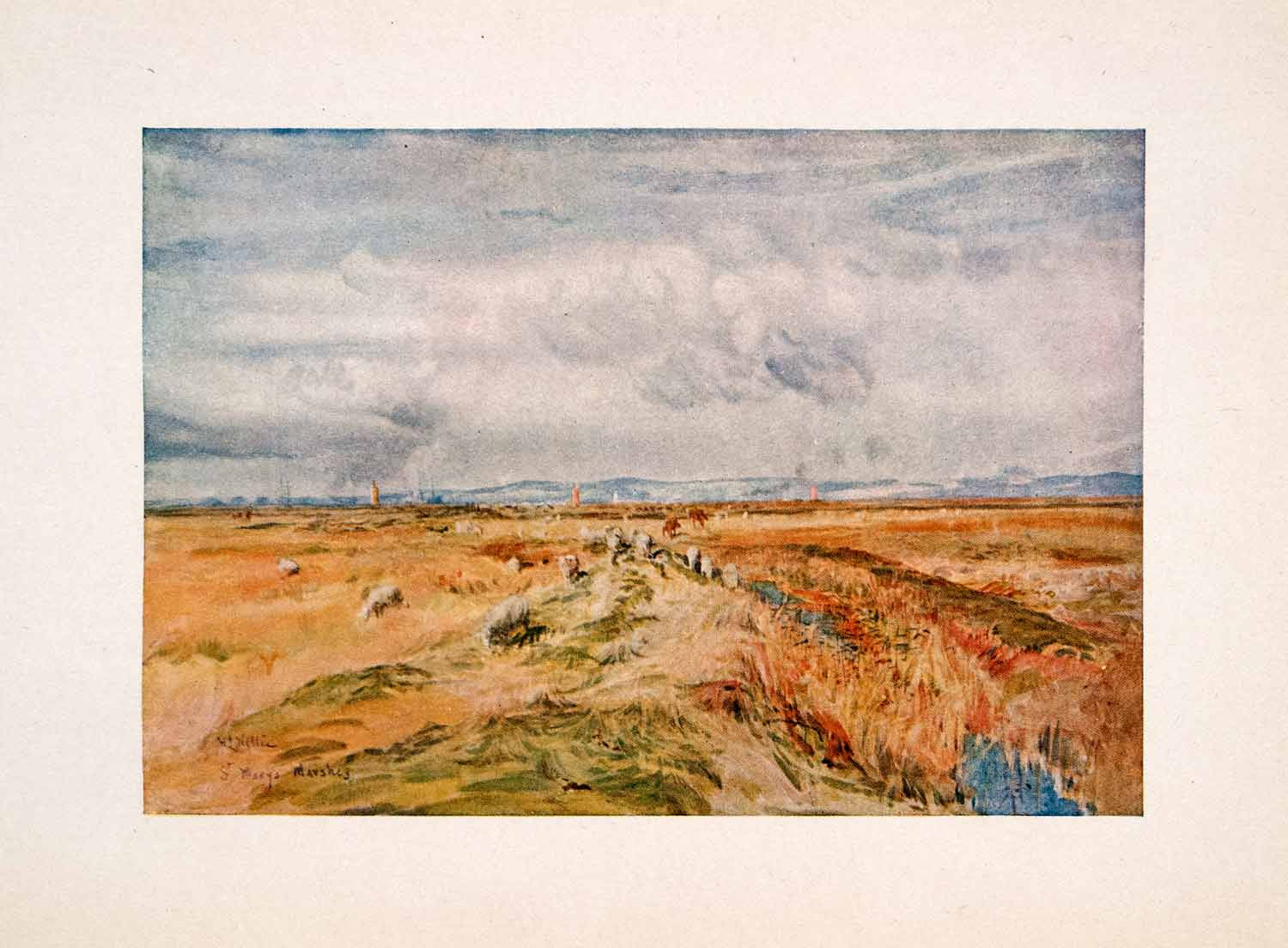 1905 Print St Mary's Marsh Coast England Pasture Sheep William Lionel Wyllie Art