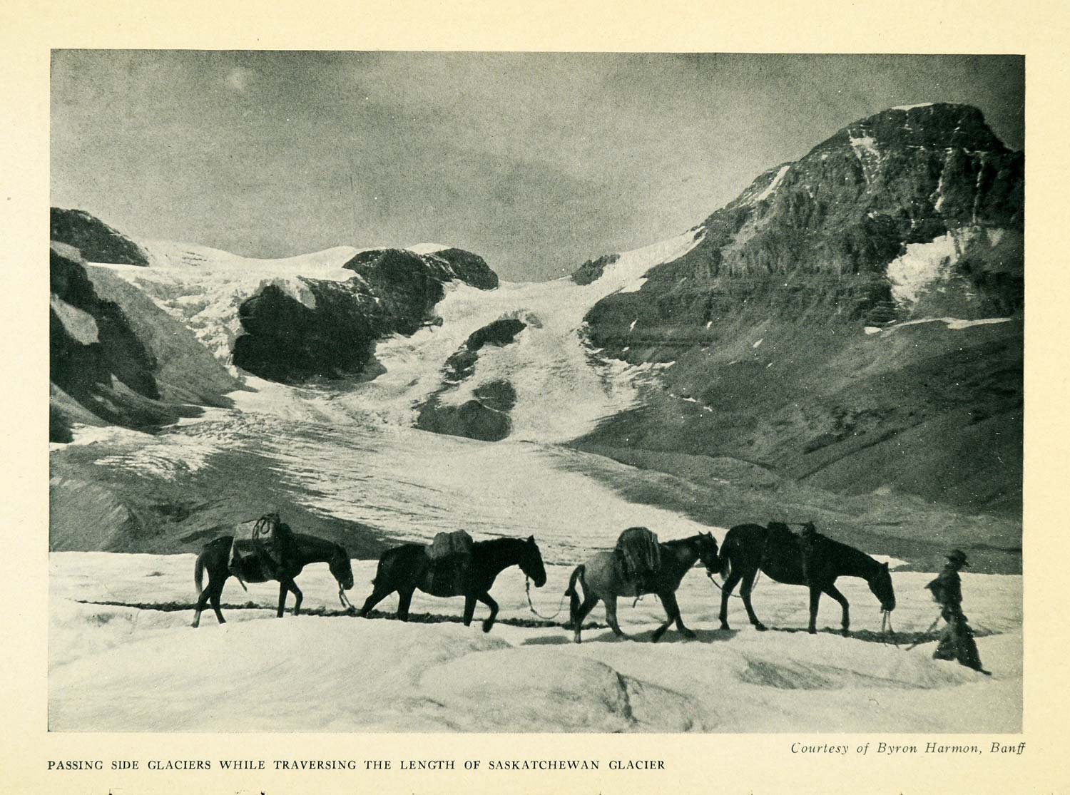 1925 Print Glaciers Saskatchewan Byron Harmon Banff Mountain Horse Equine XGD4