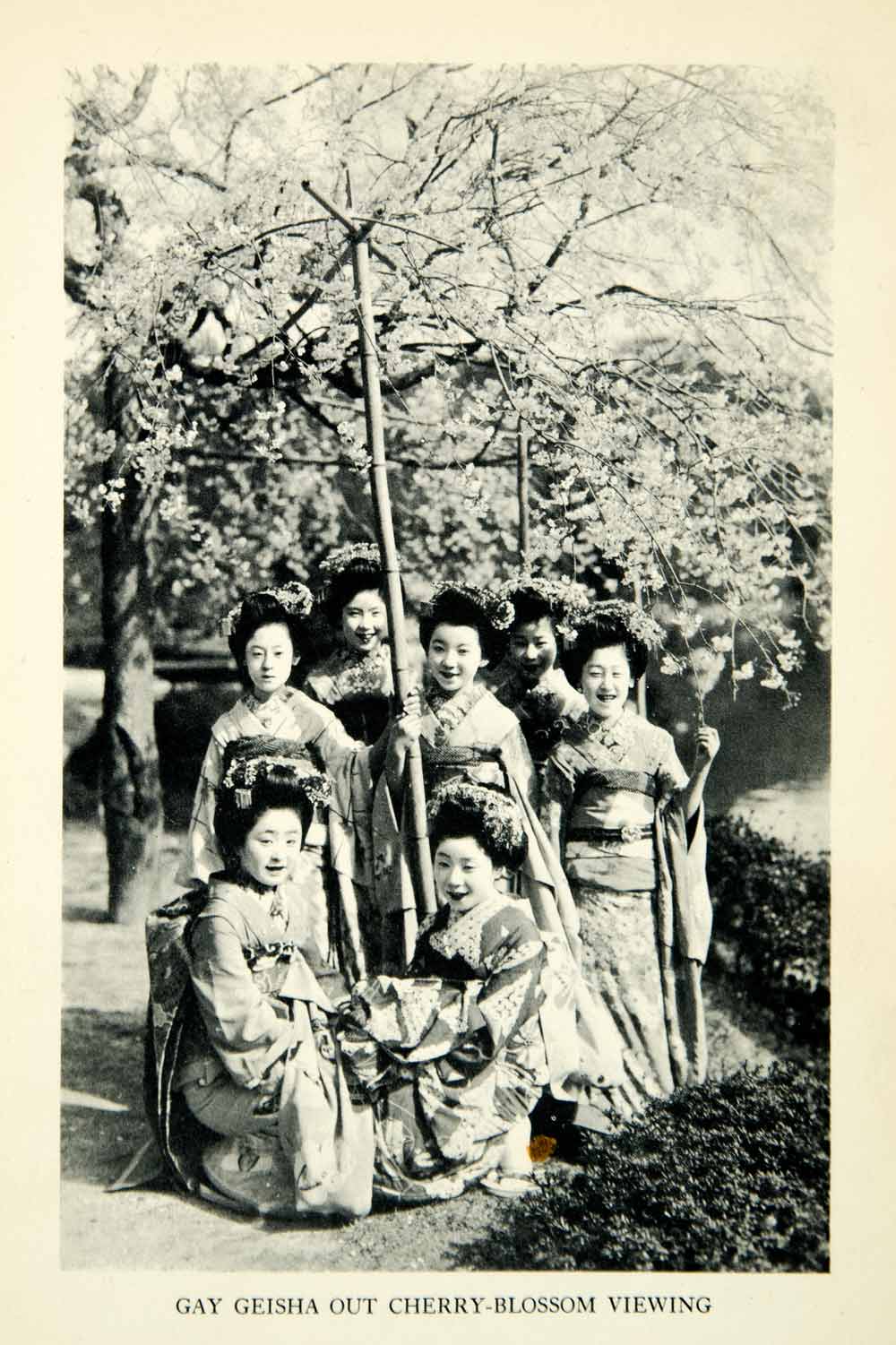 1932 Print Geisha Garden Cherry Blossom Fashion Traditional Botanical XGDD4