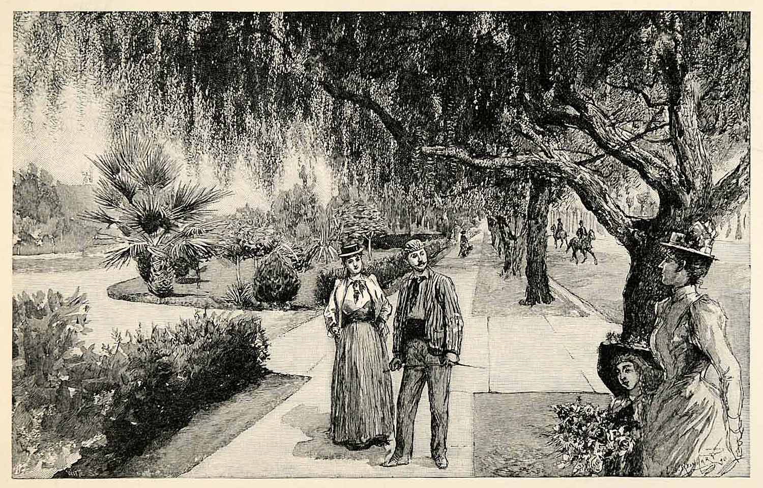 1902 Wood Engraving Landscape Avenue Los Angeles Botanical Garden XGO6