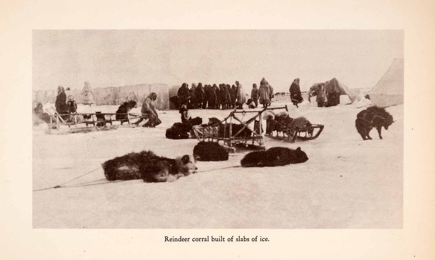 1939 Halftone Print Sled Dogs Eskimo Inuit Alaska Reindeer Corral Hunting XGOA9