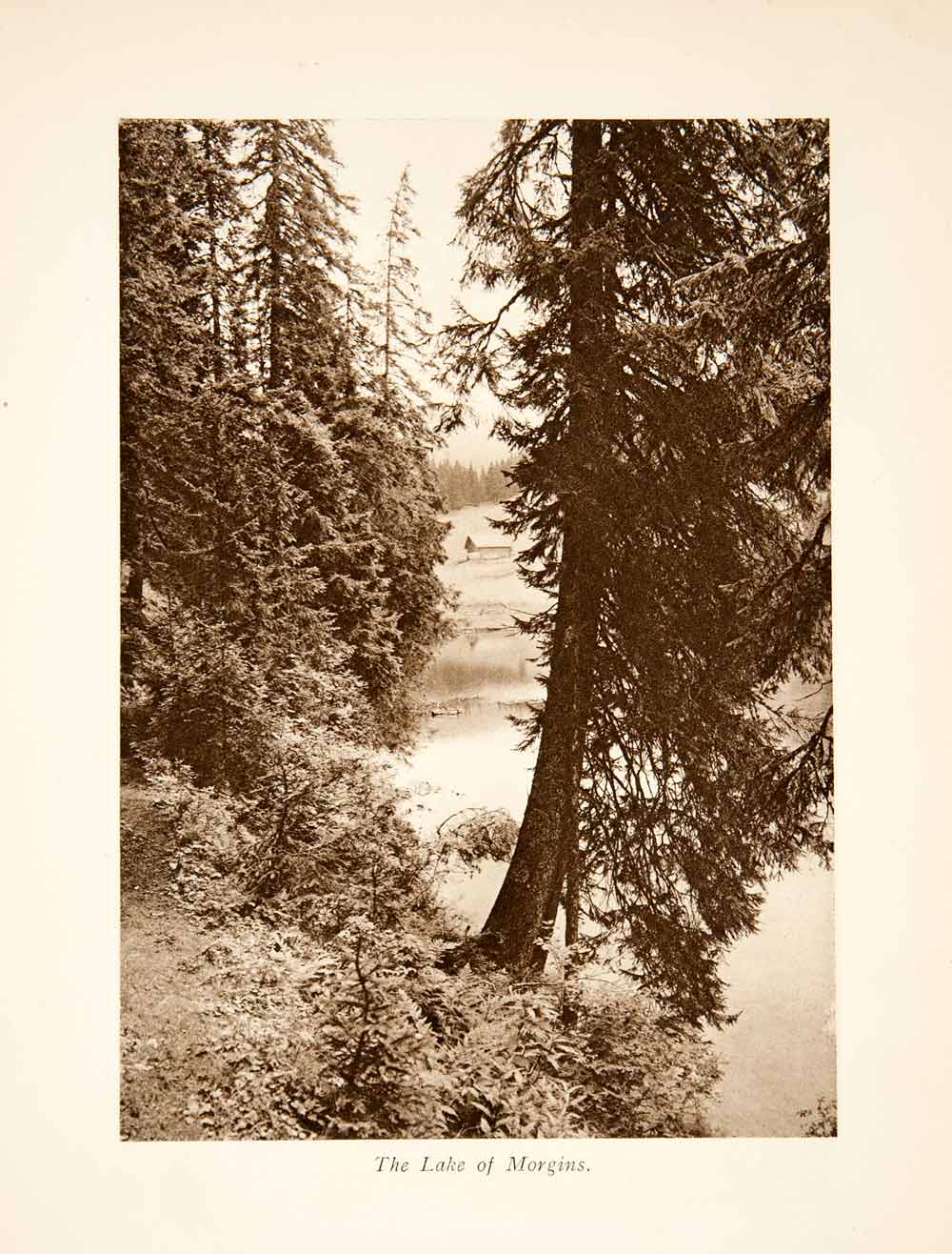 1929 Photogravure Switzerland Lake Lac Morgins Alps Barn Pine Tree XGRB8