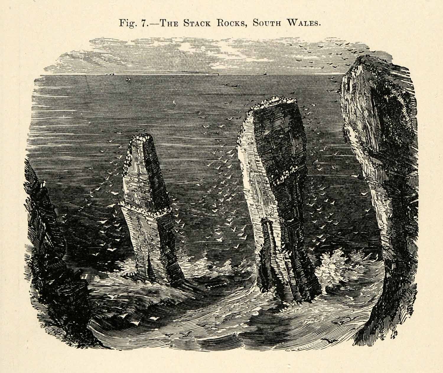 1882 Wood Engraving Stack Rocks South Wales United Kingdom Pembrokeshire XGS6