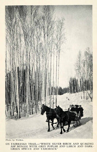 1913 Halftone Print Fairbanks Trail Sleigh Ride Horses Alaska Birch Poplar XGU4