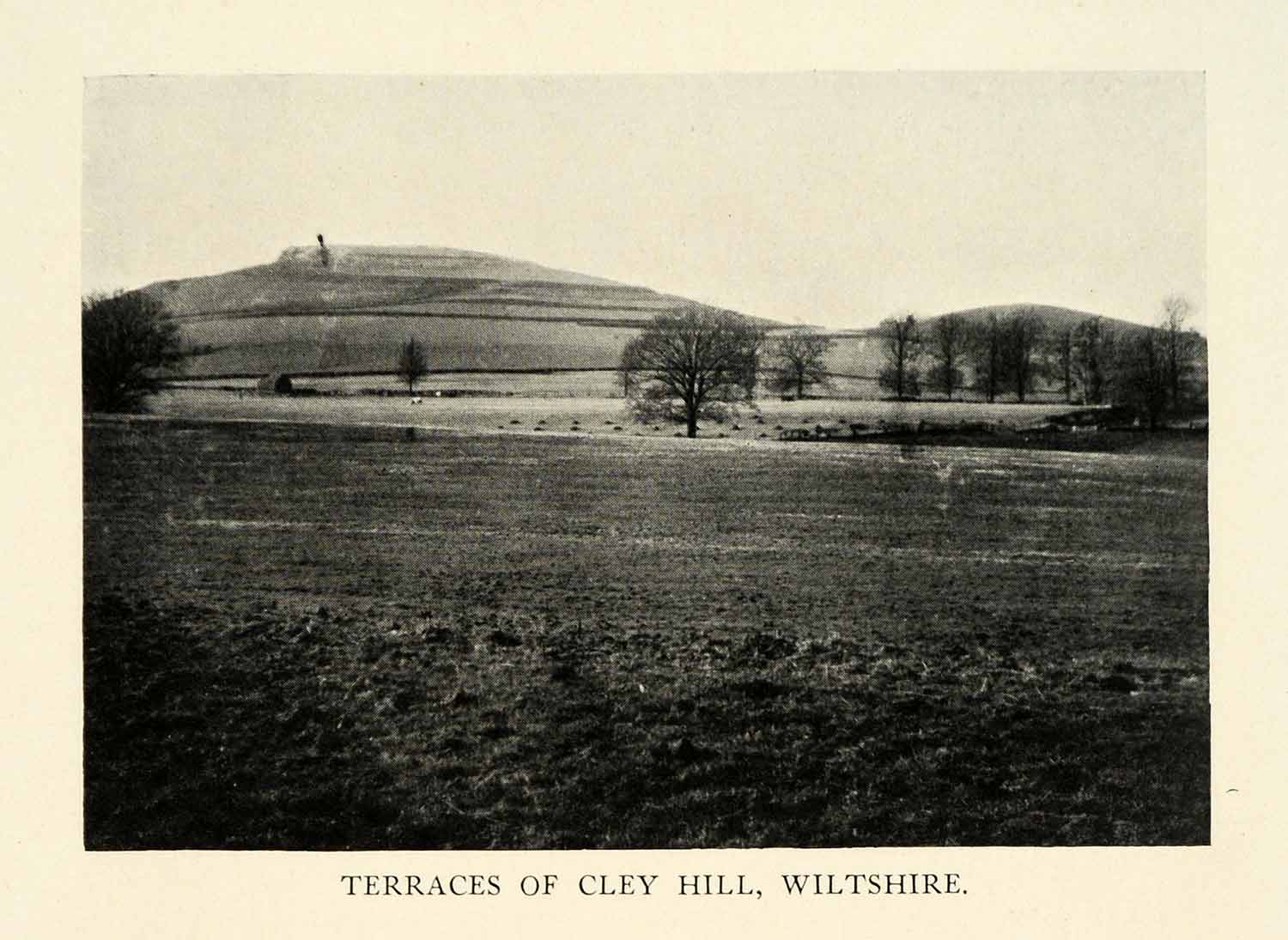 Cley Hill, Wiltshire