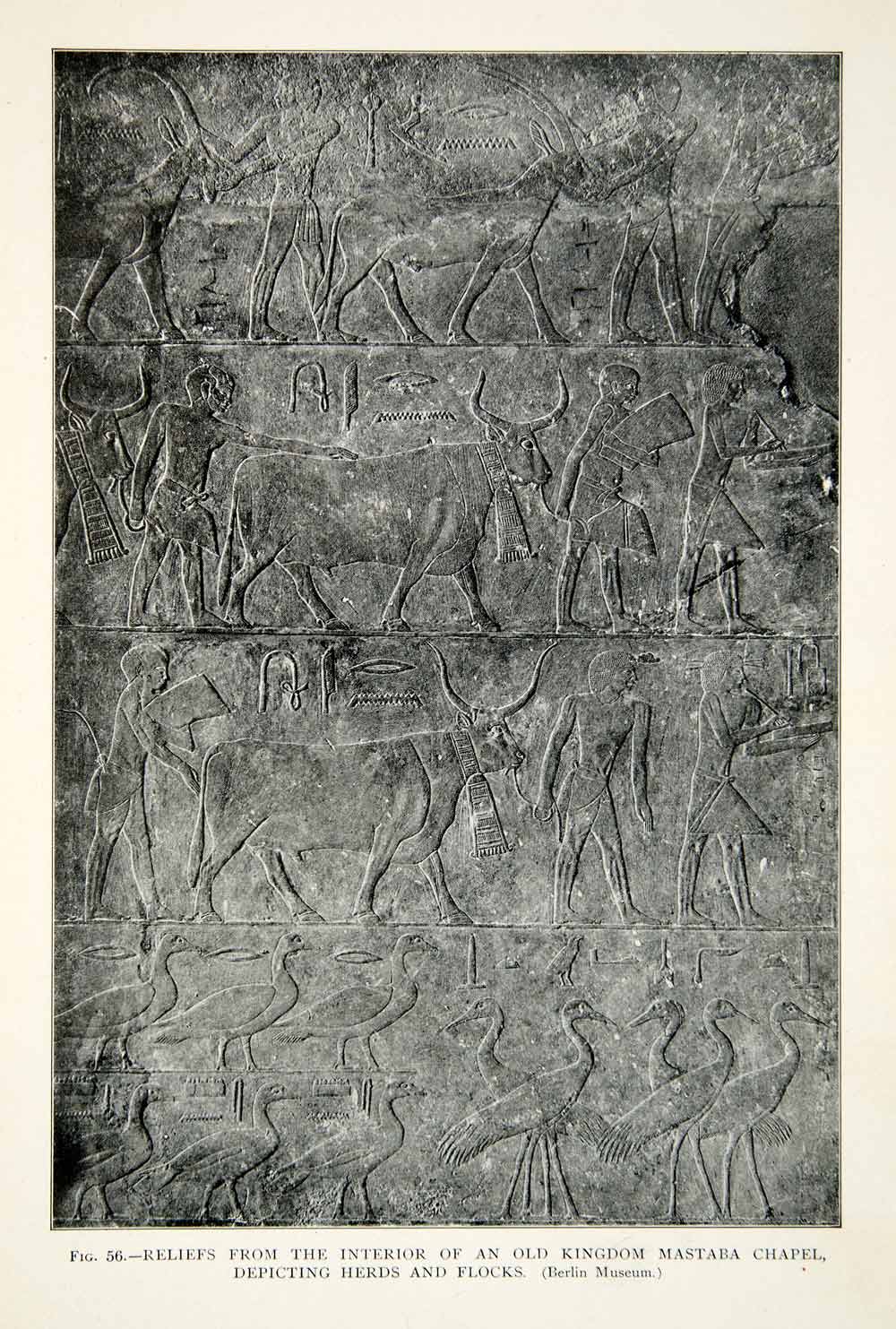 1909 Print Relief Egyptian Cattle Flock Herd Agricultural Archaeologic XHC8