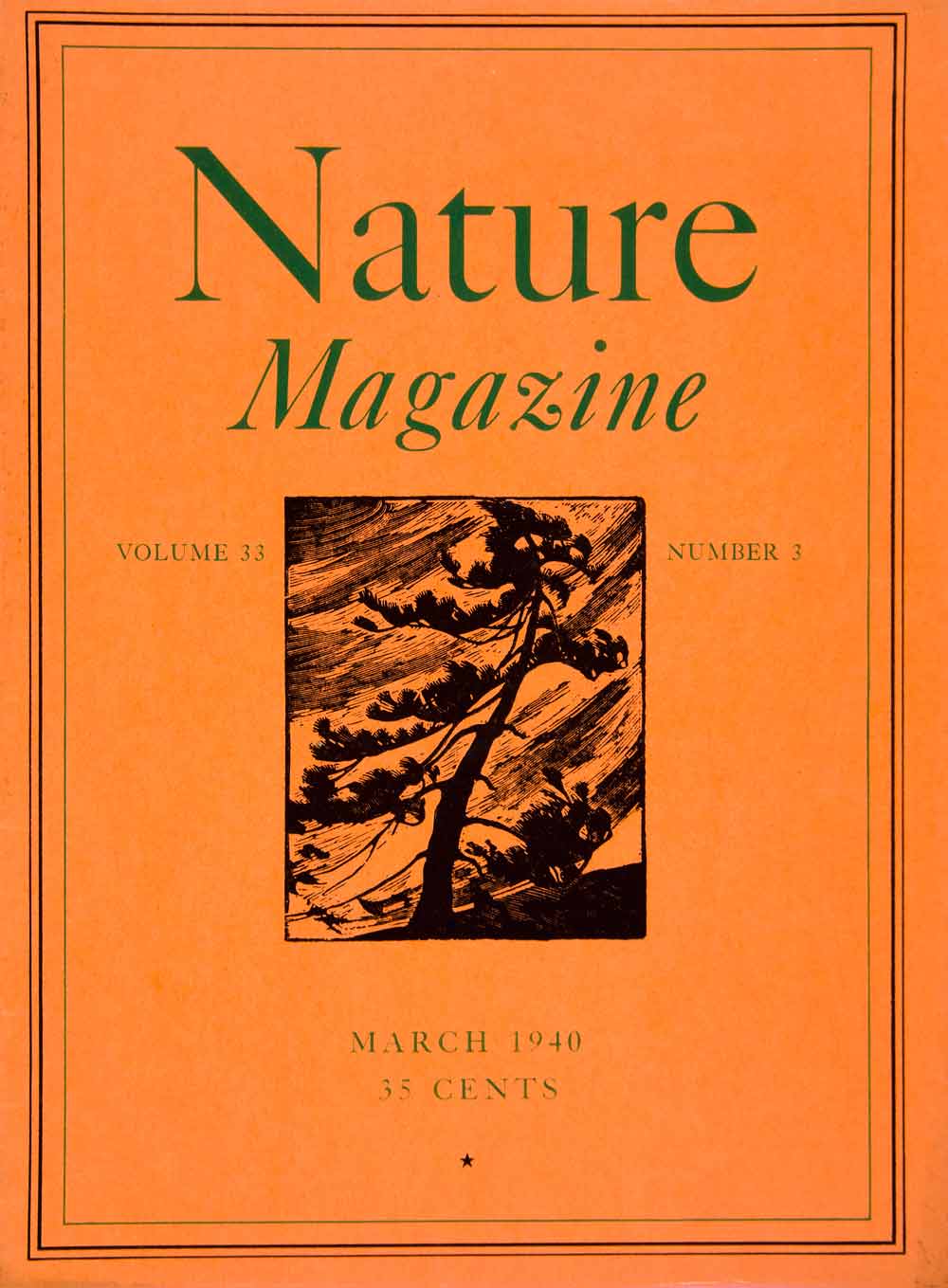 1940 Lithograph Cover March Nature Magazine Tree Wind Blowing Orange Fir YNM2