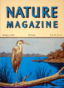 1944 Cover Lithograph Nature Magazine Great Blue Heron Lake Bird Hexon Art YNM5