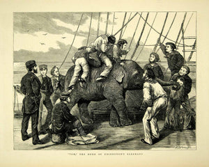 1872 Wood Engraving Henry Woods Art Tom Elephant HMS Galatea Duke Edinburgh YTG4