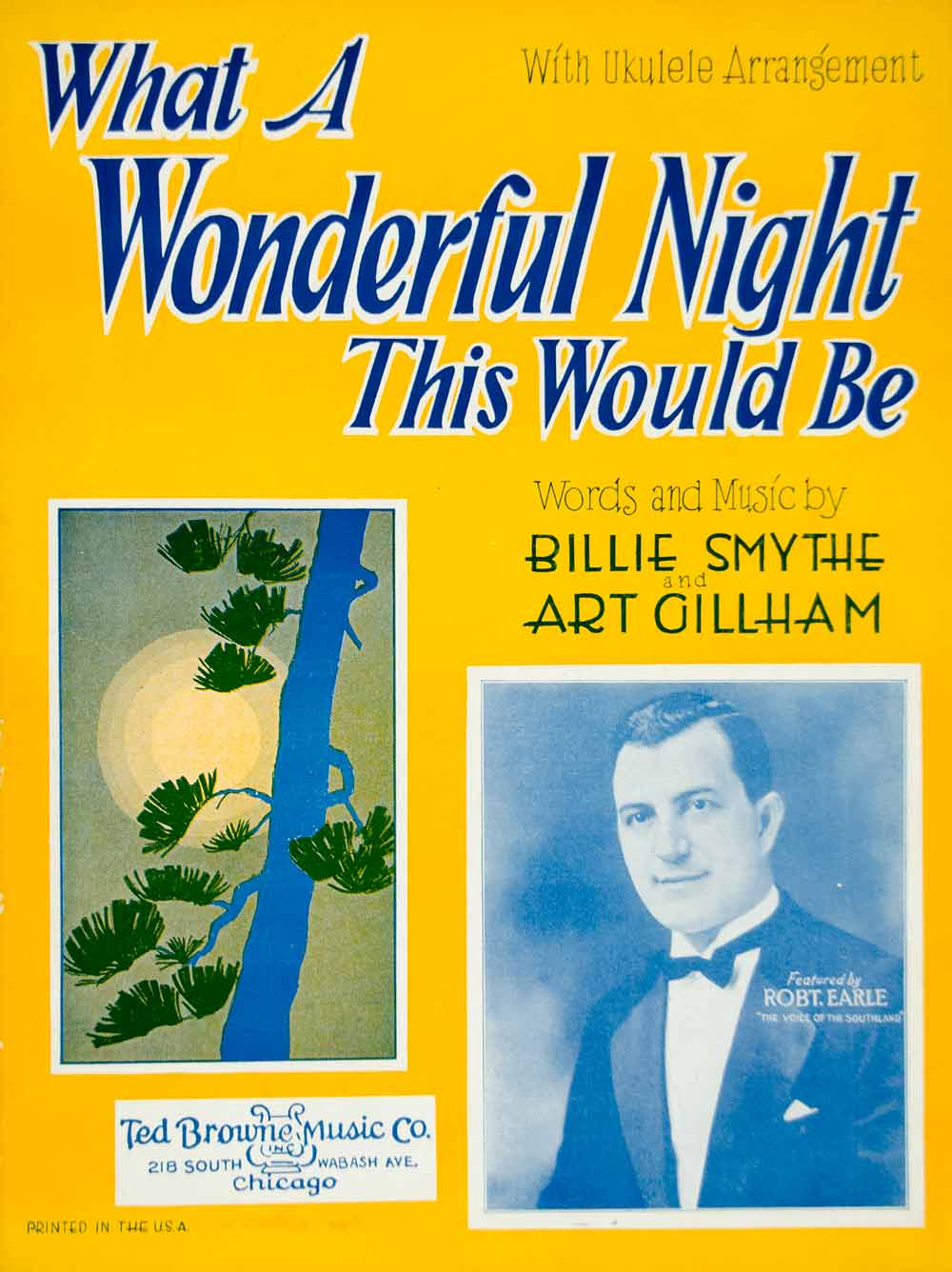 1928 Sheet Music What a Wonderful Night this Would Be Billie Smythe Art ZSM3